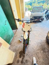 Pit bike profive 190