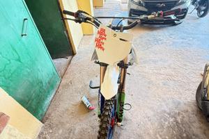 Pit bike profive 190