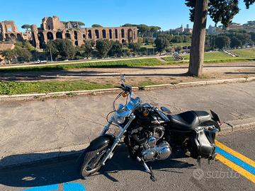 HARLEY-DAVIDSON Sportster 1200 Custom XL