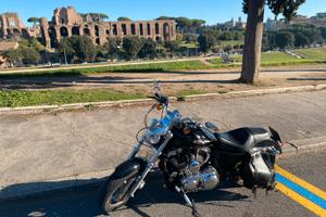 HARLEY-DAVIDSON Sportster 1200 Custom XL