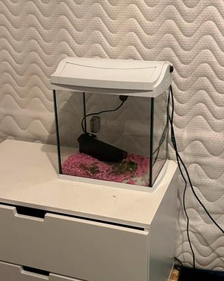 Acquario Tetra AcquaArt 60 Lt bianco completo led