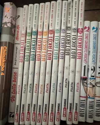 Manga Wotakoi completo