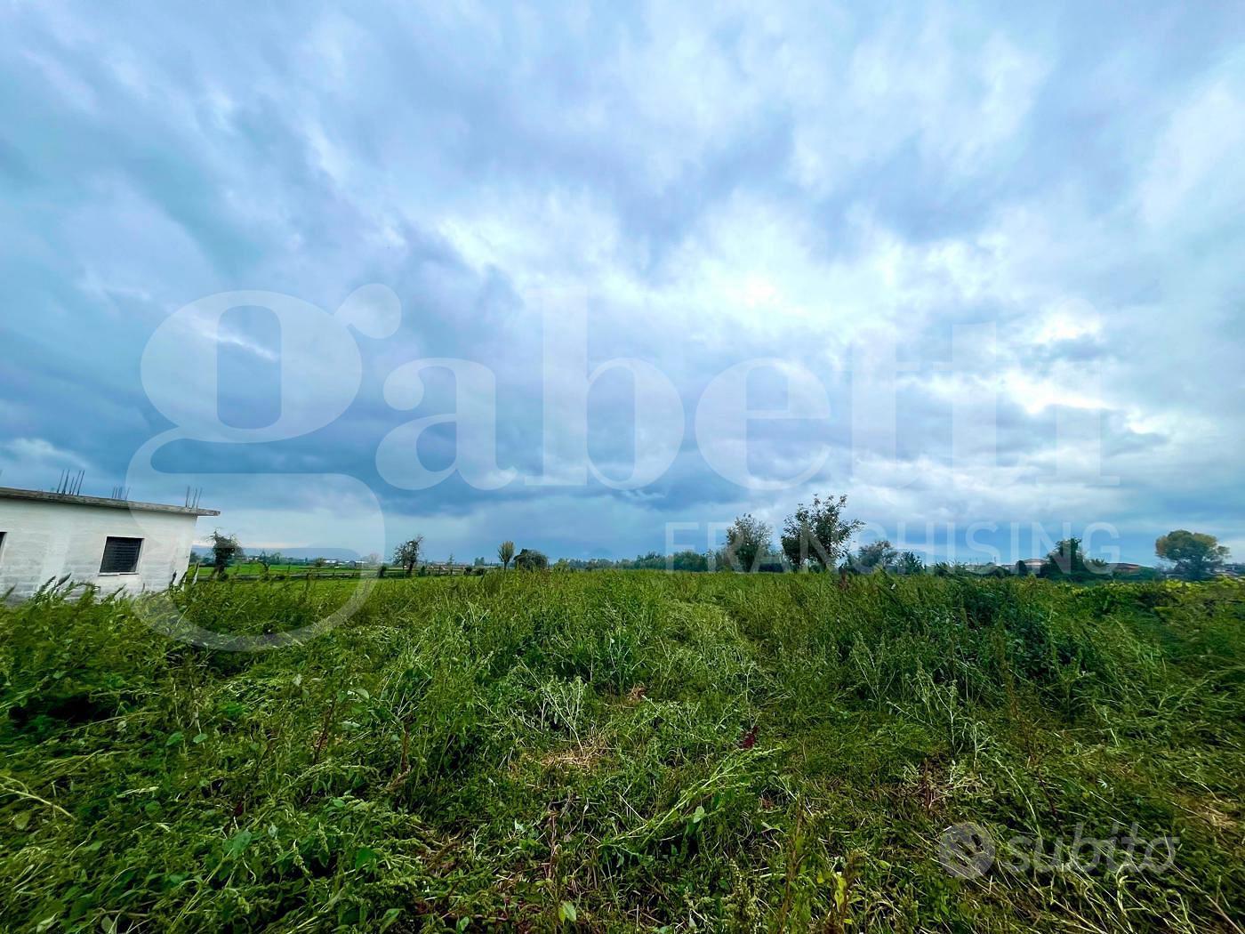 Rustico/Casale/Corte Alife [Cod. rif 3277102VRG] - Altro
