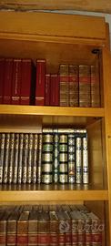 collezione di libri