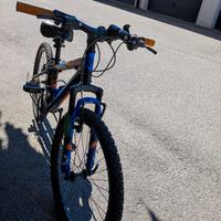 MTB VIPER TORPADO 24"