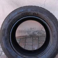 Gomme invernali 