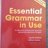 Essential Grammar in use