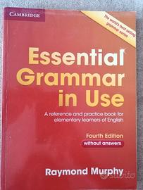 Essential Grammar in use