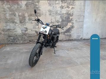 Mash Fifty 50 - 2019