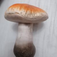 Fungo in ceramica