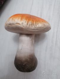 Fungo in ceramica