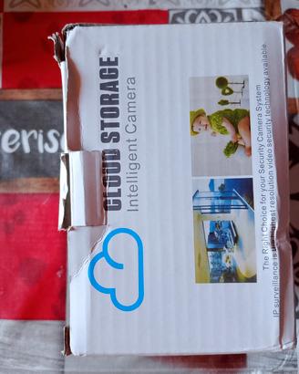 TELECAMERA INTELLIGENTE CLOUD STORAGE REG CONTINUA