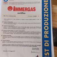 Caldaia Immergas Eolo Mini 24