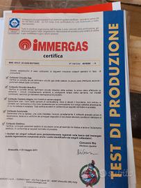 Caldaia Immergas Eolo Mini 24