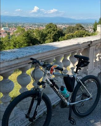 Mountain bike Bianchi