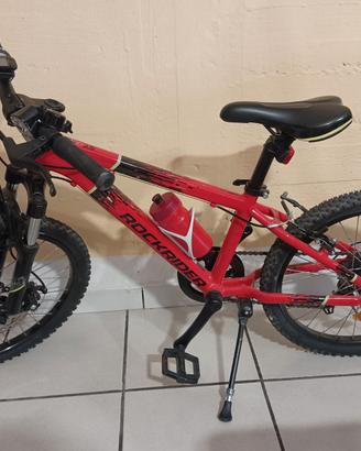 Bicicletta unisex