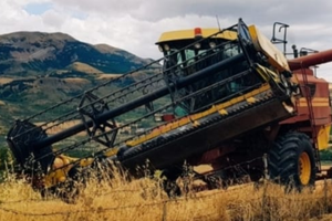 Mietitrebbia new holland 3560 al