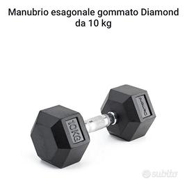 Pesi palestra 10 kili gommati..2 pezzi