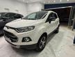 Ford EcoSport Ford EcoSport 1.0 ecoboost Business 