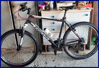 Focus Raven Rookie – telaio XL in ordine