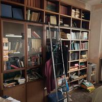 Libreria molteni