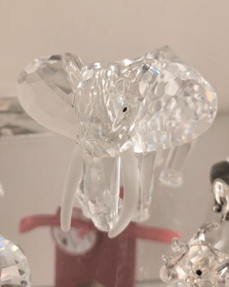 Swarovski Immagini d'africa 