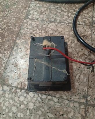 2 cassette speakon per cassa lem