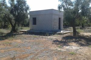 Terreno con rustico vicino al mare 