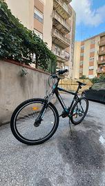 Schiano Bicicletta  + un lucchetto resistente