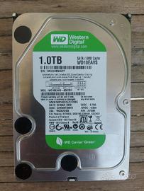 Hardisk 3.5 SATA WD da 1 TB