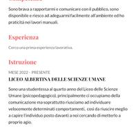 Cameriera, commessa , dopo scuola babysitter
