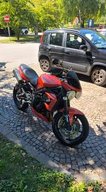 Triumph street triple 675 r