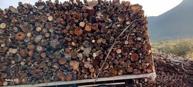 Quercia Cerro realmente secco