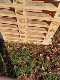 EPAL + tavole PARETALI