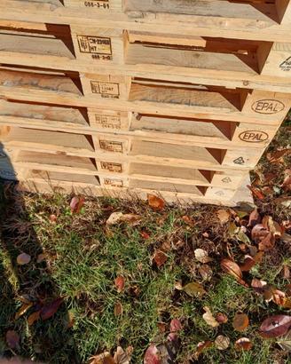 EPAL + tavole PARETALI