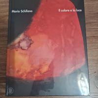 Mario Schifano. Il colore e la luce”
