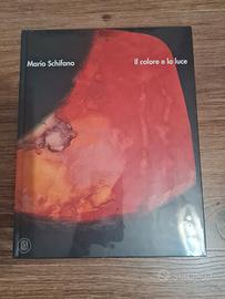 Mario Schifano. Il colore e la luce”
