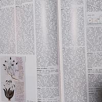 enciclopedia deagostini 