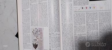 enciclopedia deagostini 