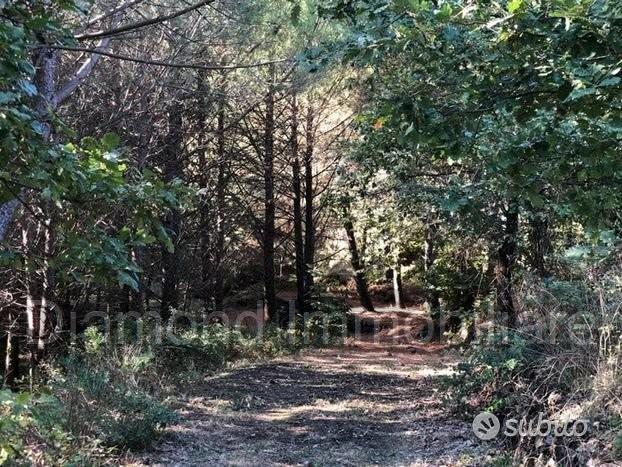 Terreno 20.000mq con fabbricato a Piedimonte Etneo - Vista 5