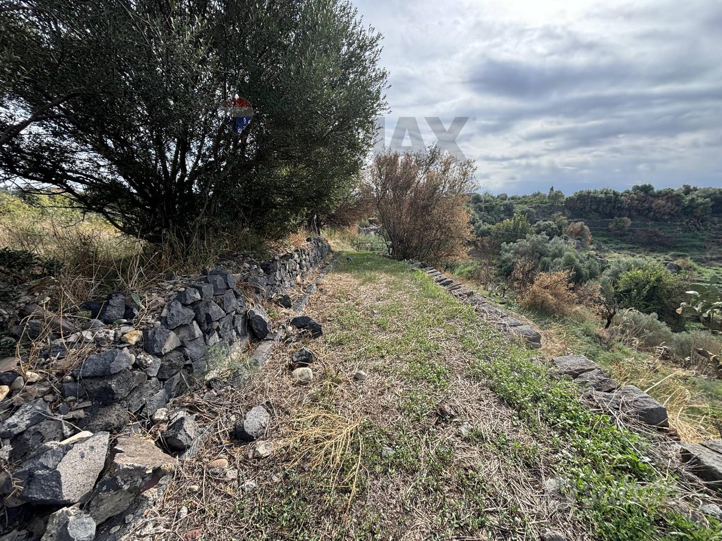 Terreno - Paternò - Vista 4