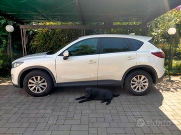 Mazda cx5 2200 d. evolve 110kw 15o cv