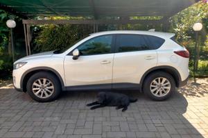Mazda cx5 2200 d. evolve 110kw 15o cv