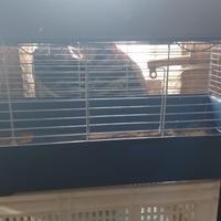 Gabbia grande per roditori