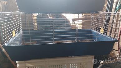 Gabbia grande per roditori