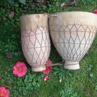 Bongos