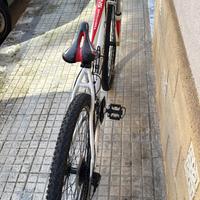 Bicicletta mountain bike