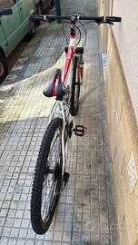 Bicicletta mountain bike