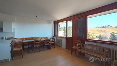 Bilocle ristrutturato