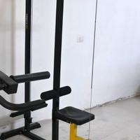 Lat machine/pulley a carico libero